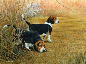 THROUGH THICK AND THIN - Beagles